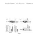 INTESTINAL ALKALINE PHOSPHATASE MODULATORS AND USES THEREOF diagram and image