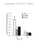 INTESTINAL ALKALINE PHOSPHATASE MODULATORS AND USES THEREOF diagram and image