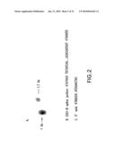 Methods and Compositions Related to Eosinophil Regulation diagram and image