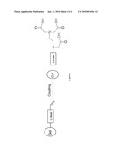 METHOD OF PREPARING AN IMMOBILISED METAL ION CHROMATOGRAPHY ADSORBENT AND METHODS OF PURIFYING PROTEINS, PEPTIDES OR POLYNUCLEOTIDES diagram and image