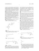 ALPHA7 NICOTINIC ACETYLCHOLINE RECEPTOR INHIBITORS diagram and image