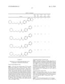 ALPHA7 NICOTINIC ACETYLCHOLINE RECEPTOR INHIBITORS diagram and image