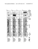 Machine with customized implement control diagram and image