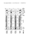 Machine with customized implement control diagram and image