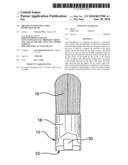 Brushes with retractable removable heads diagram and image