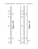 Composite Element With A Polymer Connecting Layer diagram and image