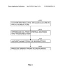 Energy Production from Algae in Photo Bioreactors Enriched with Carbon Dioxide diagram and image