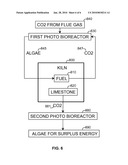 Energy Production from Algae in Photo Bioreactors Enriched with Carbon Dioxide diagram and image