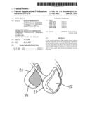 Novel Device diagram and image