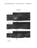 MG-BASED ALLOY PLATED STEEL MATERIAL diagram and image