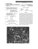 CARBON NANOTUBES FOR FUEL CELLS, METHOD FOR MANUFACTURING THE SAME, AND FUEL CELL USING THE SAME diagram and image