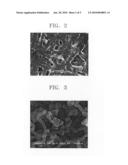 CARBON NANOTUBES FOR FUEL CELLS, METHOD FOR MANUFACTURING THE SAME, AND FUEL CELL USING THE SAME diagram and image