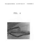 CARBON NANOTUBES FOR FUEL CELLS, METHOD FOR MANUFACTURING THE SAME, AND FUEL CELL USING THE SAME diagram and image