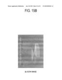 HOST APPARATUS, IMAGE FORMING APPARATUS, AND DIAGNOSIS METHOD FOR IMAGE FORMING APPARATUS diagram and image