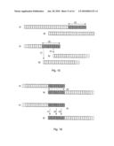 METHODS AND APPARATUS FOR CREATION, DISTRIBUTION AND PRESENTATION OF POLYMORPHIC MEDIA diagram and image