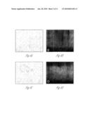 KIDNEY DERIVED STEM CELLS AND METHODS FOR THEIR ISOLATION, DIFFERENTIATION AND USE diagram and image