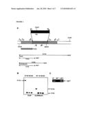 TARGETING OF TRIACYLCLYCEROL SYNTHASE GENE FOR TUBERCULOSIS TREATMENT diagram and image