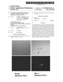 Antibodies With Immune Effector Activity And That Internalize In Endosialin-Positive Cells diagram and image