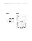 Antibodies With Immune Effector Activity And That Internalize In Endosialin-Positive Cells diagram and image