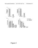 DRUG FOR INHIBITING,PREVENTING OR TREATMENT OF RHEUMATOID ARTHRITIS diagram and image