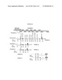 BORIS ISOFORMS AND METHODS OF DETECTING AND TREATING DISEASE diagram and image