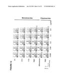 Antagonistic Human LIGHT-Specific Human Monoclonal Antibodies diagram and image