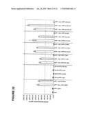 Antagonistic Human LIGHT-Specific Human Monoclonal Antibodies diagram and image