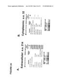 Antagonistic Human LIGHT-Specific Human Monoclonal Antibodies diagram and image