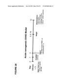 Antagonistic Human LIGHT-Specific Human Monoclonal Antibodies diagram and image