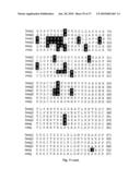 METHOD OF DETECTING A CANCER CELL BY ABERRANT EXPRESSION OF A HUMAN K+ ION CHANNEL diagram and image