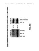METHODS AND COMPOSITIONS FOR INHIBITING THE GROWTH OF HEMATOPOIETIC MALIGNANT CELLS diagram and image