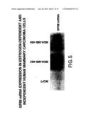 METHODS AND COMPOSITIONS FOR INHIBITING THE GROWTH OF HEMATOPOIETIC MALIGNANT CELLS diagram and image