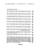 METHODS AND COMPOSITIONS FOR INHIBITING THE GROWTH OF HEMATOPOIETIC MALIGNANT CELLS diagram and image