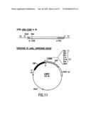 METHODS AND COMPOSITIONS FOR INHIBITING THE GROWTH OF HEMATOPOIETIC MALIGNANT CELLS diagram and image