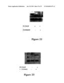 METHODS AND COMPOSITIONS FOR INHIBITING THE GROWTH OF HEMATOPOIETIC MALIGNANT CELLS diagram and image