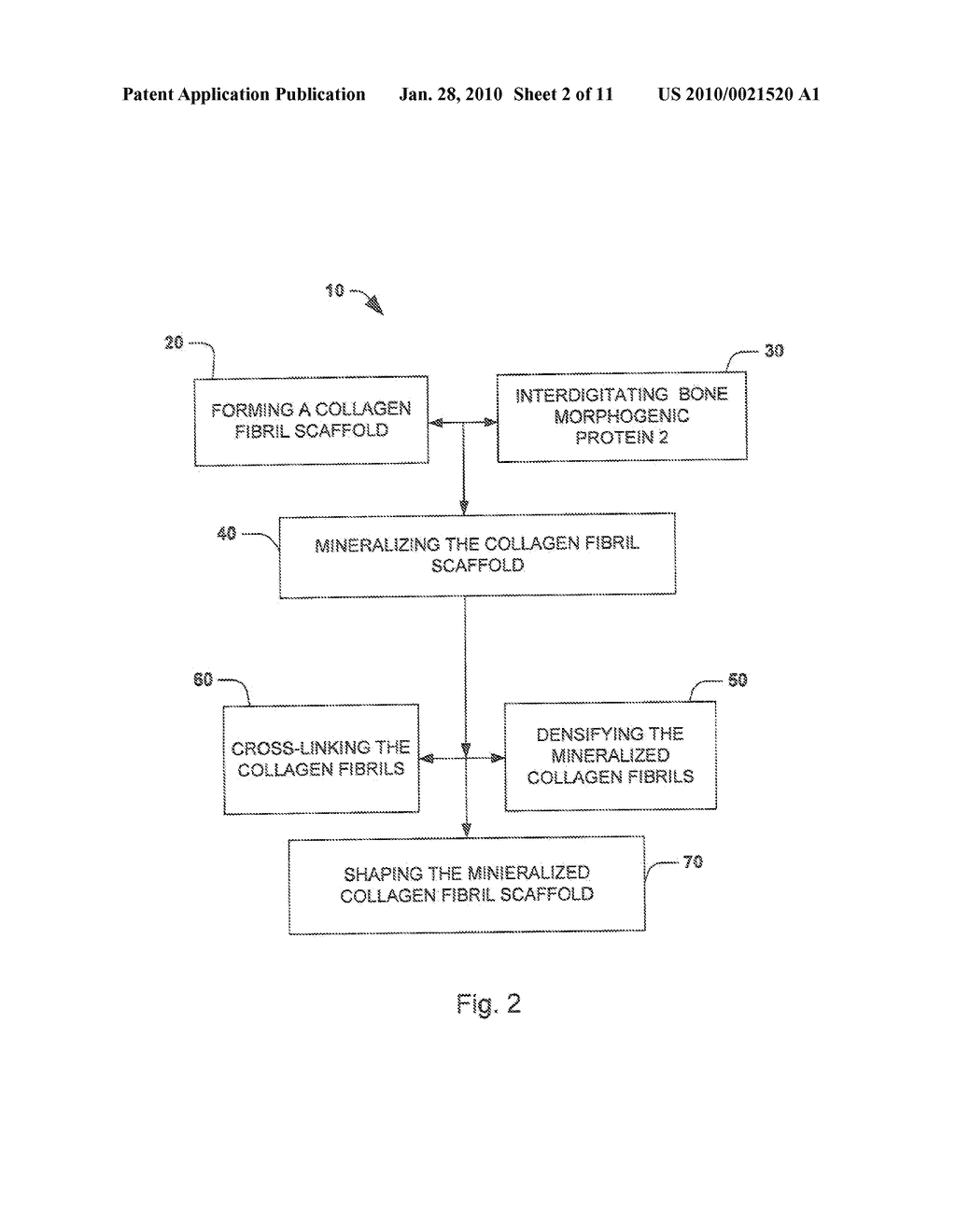 BIOMATERIAL IMPLANTS - diagram, schematic, and image 03