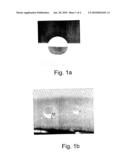 SUPERHYDROPHOBIC NANOTEXTURED POLYMER AND METAL SURFACES diagram and image