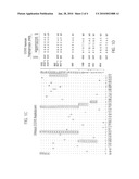 Screening for disease susceptibility by genotyping the CCR5 and CCR2 genes diagram and image