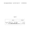 SALIVARY BIOMARKERS FOR SJOGREN S SYNDROME diagram and image