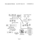 HIGH THROUGHPUT DNA SEQUENCING METHOD AND APPARATUS diagram and image