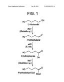 Production of Polyhydroxyalkanoates From Polyols diagram and image