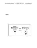 PROCESS FOR DETECTING ENZYME ACTIVITY IN AN IMMUNOASSAY diagram and image