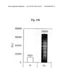 Methods for differentially detecting a multimeric form from a monomeric form of a multimer-forming polypeptide through three-dimensional interactions diagram and image