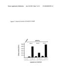 Tetrahymena bifunctional dihydrofolate reductase-thymidylate synthase deficiency and its use diagram and image