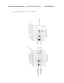 Tetrahymena bifunctional dihydrofolate reductase-thymidylate synthase deficiency and its use diagram and image