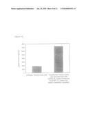 Tetrahymena bifunctional dihydrofolate reductase-thymidylate synthase deficiency and its use diagram and image