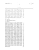 Tetrahymena bifunctional dihydrofolate reductase-thymidylate synthase deficiency and its use diagram and image