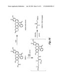 FLUORESCENT pH DETECTOR SYSTEM AND RELATED METHODS diagram and image