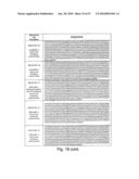 Genetic incorporation of unnatural amino acids into proteins in mammalian cells diagram and image