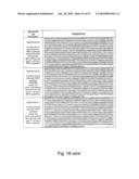 Genetic incorporation of unnatural amino acids into proteins in mammalian cells diagram and image